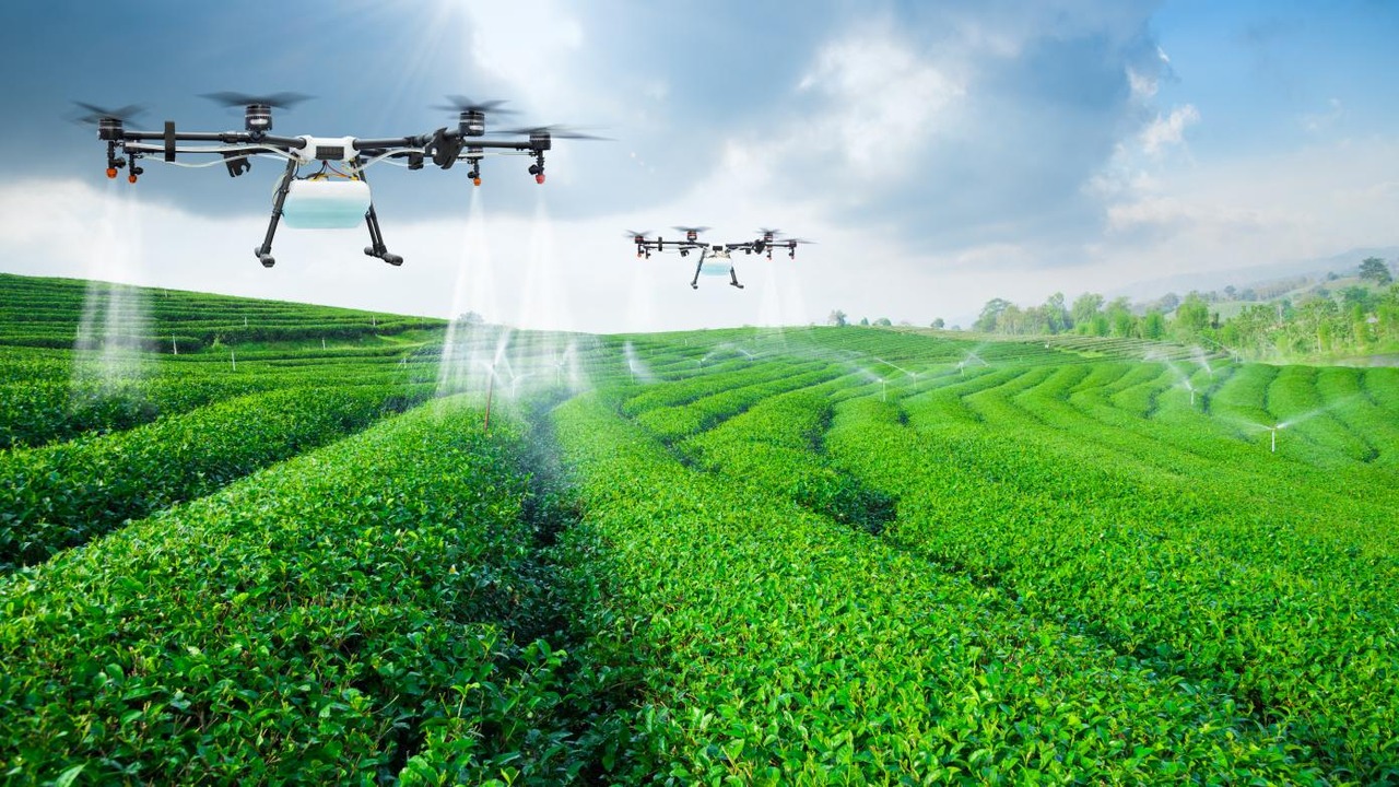 Product in Fields